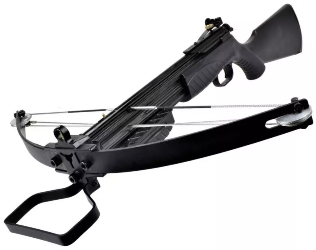 https://www.couteauazur.com/arbalete/arbalete-puissante-a-poulies-180-lbs-20-billes-acier.html